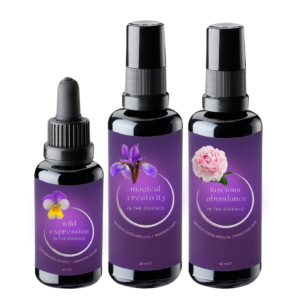 magical abundance paket
